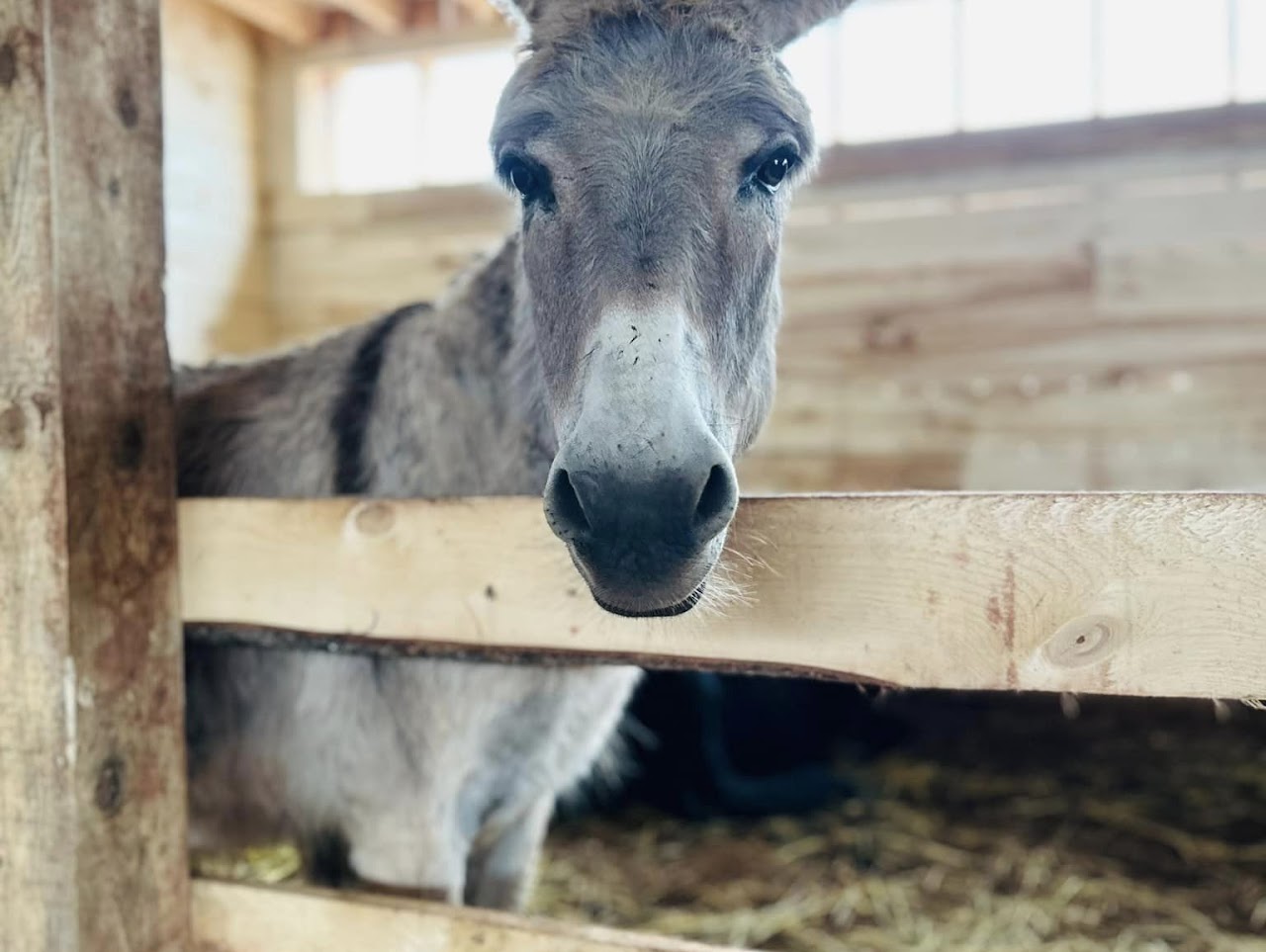 Whispering Hope Farm
