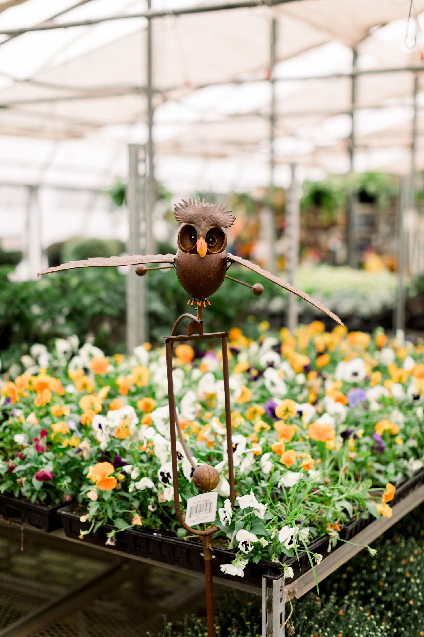 Kool Breeze Farms Garden Centre & Farm Market