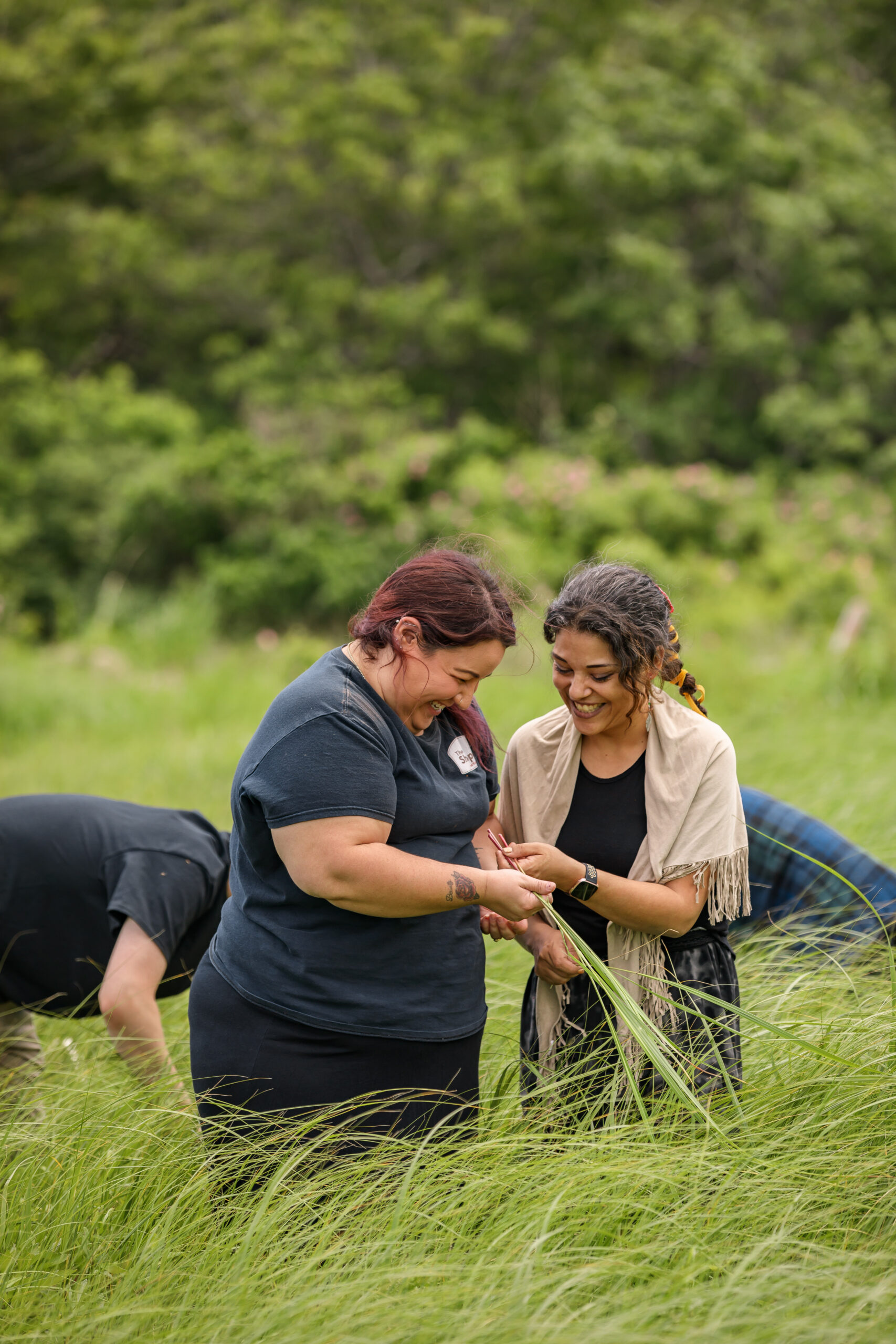 Experience Lennox Island
