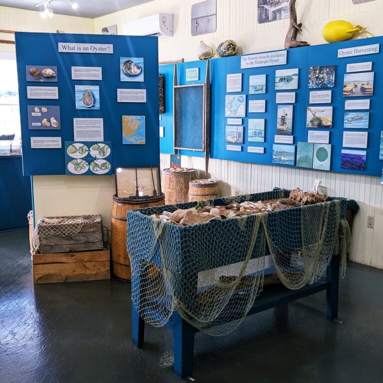 Prince Edward Island Shellfish Museum