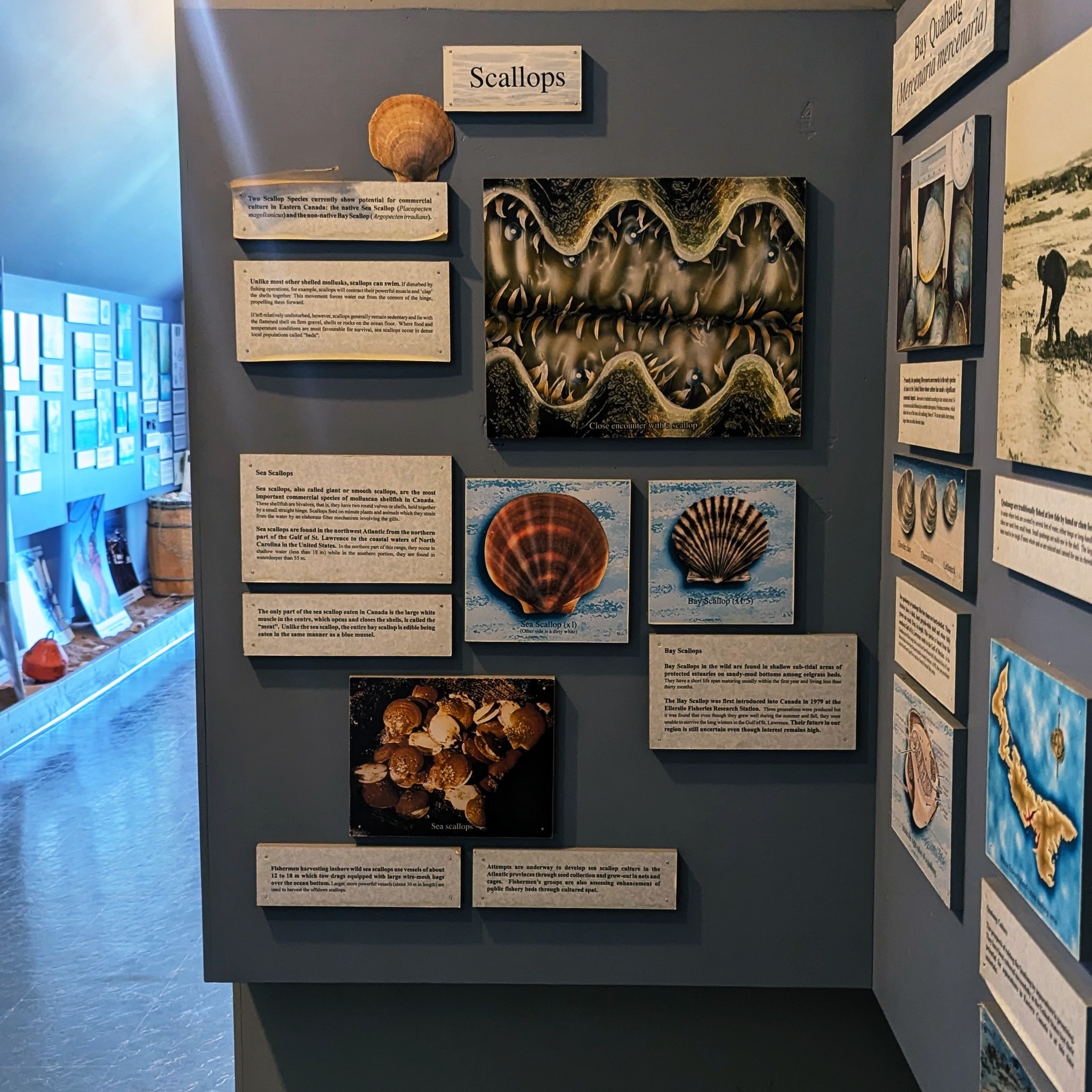 Prince Edward Island Shellfish Museum