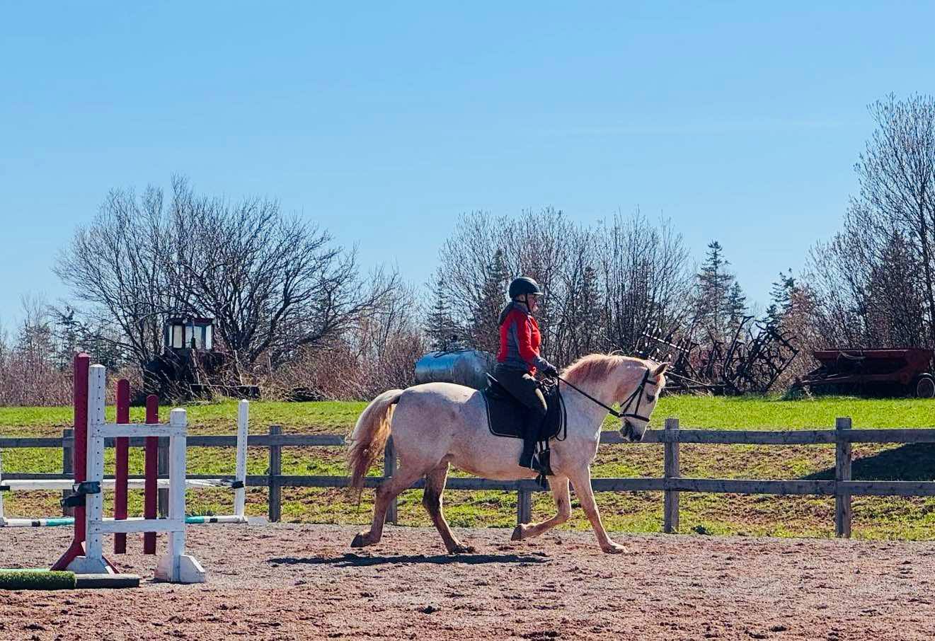 Up West Equestrian Center