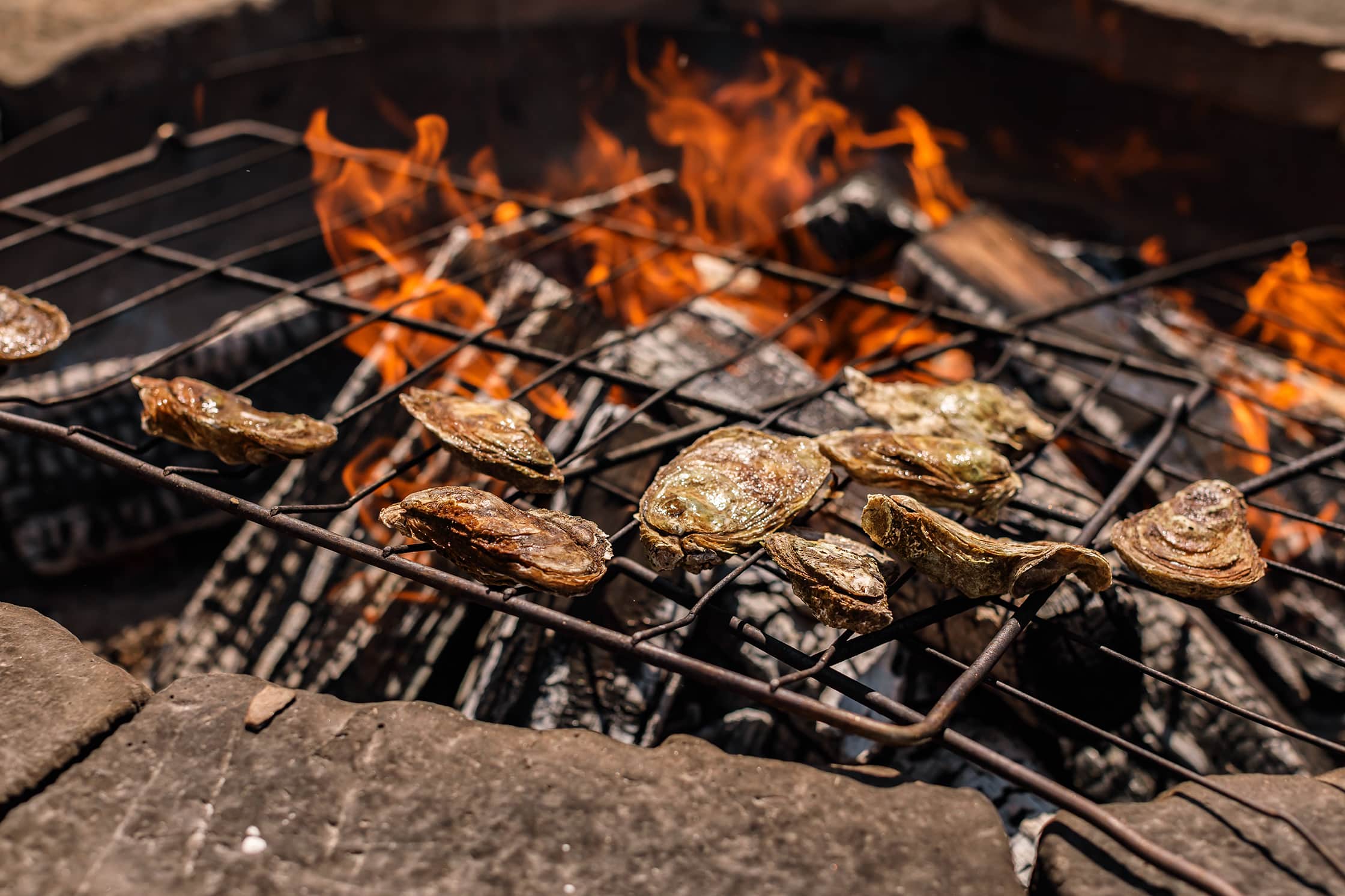 Bannock and Clams in the Sand image 3