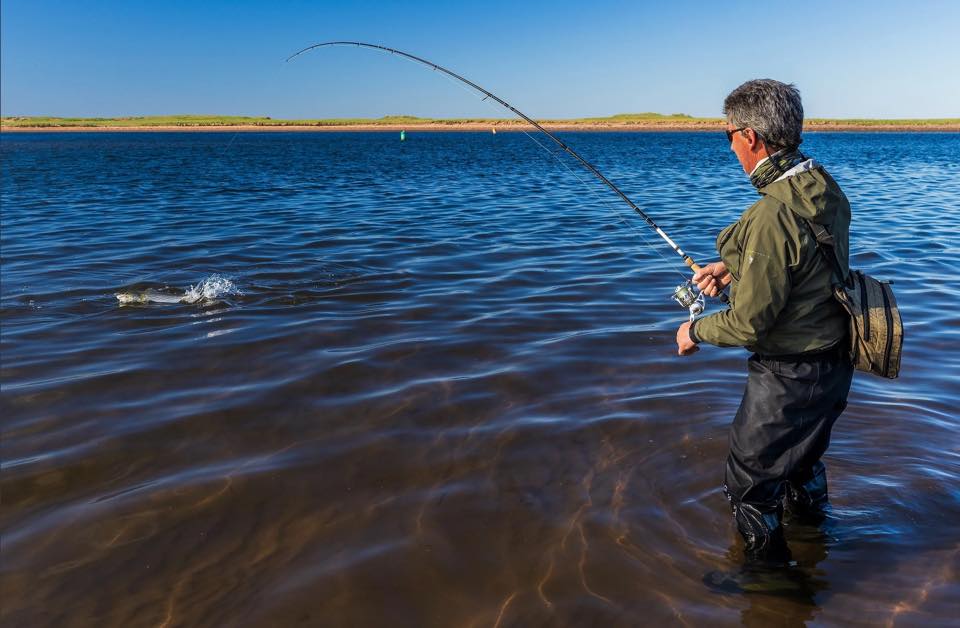 Moth Lane’s Striped Bass Fishing Showdown image 1