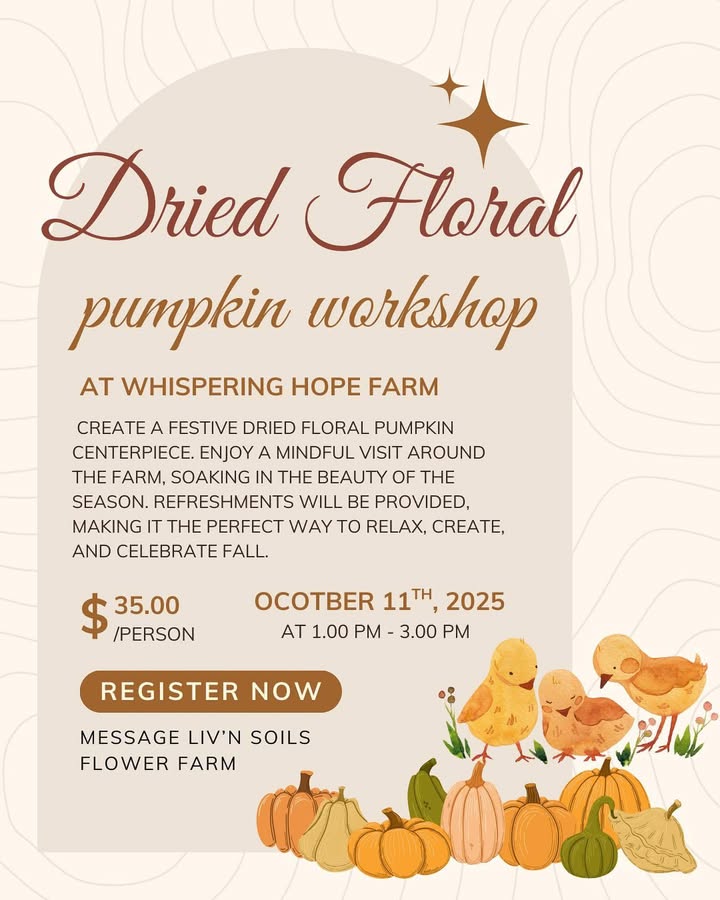 Dried Floral Pumpkin Workshop gallery image 1