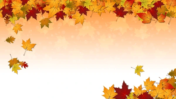 O’Leary’s Fall Festival
