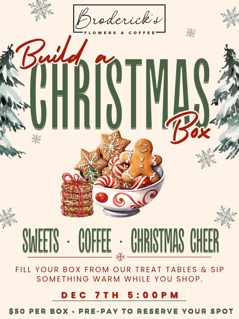 Build a Christmas Box - event image