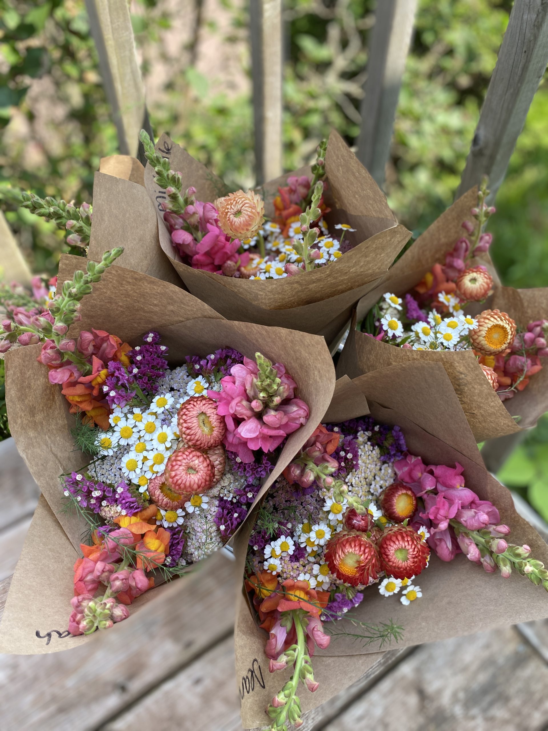 Liv’n Soils image 6