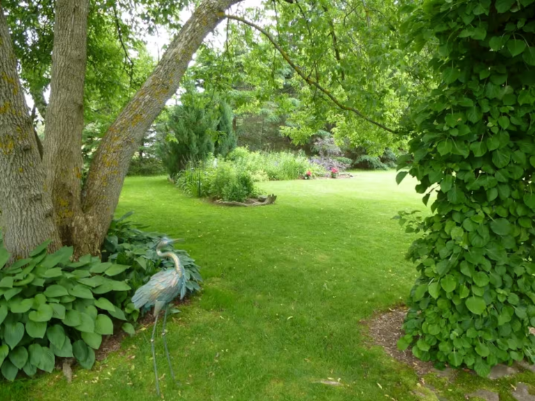 Heron’s Nest Sanctuary gallery image 2