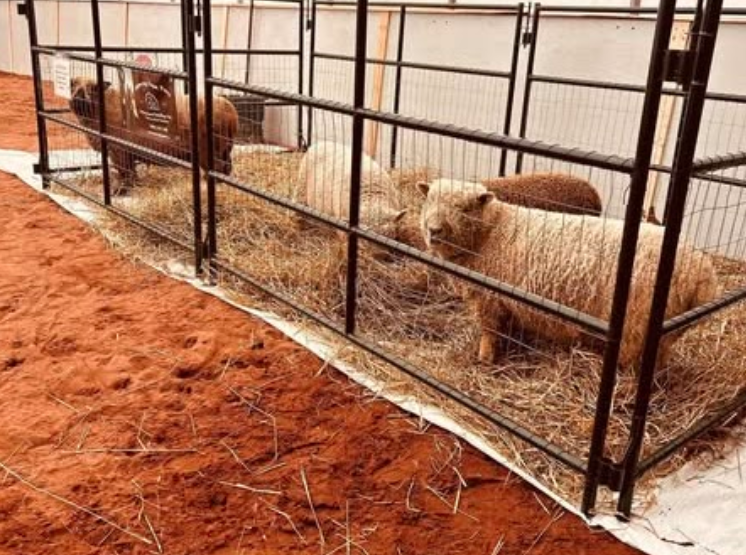 Whispering Hope Farm