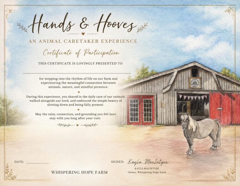 Hands & Hooves – An Animal Caretaker Experience gallery image 2