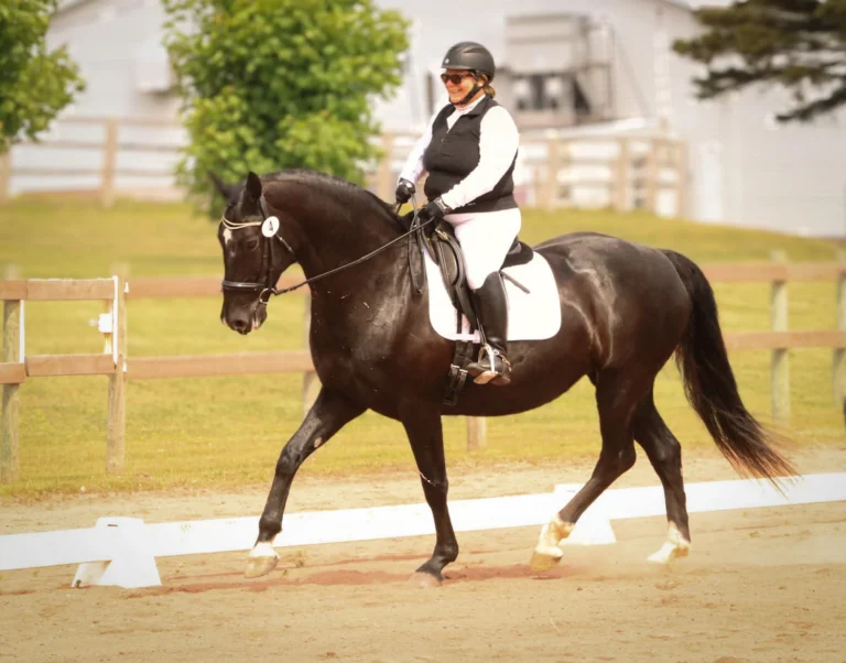 Up West Equestrian Center
