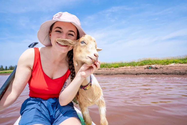 Beach Goats