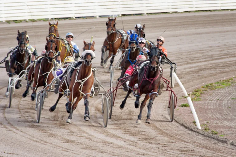 Red Shores